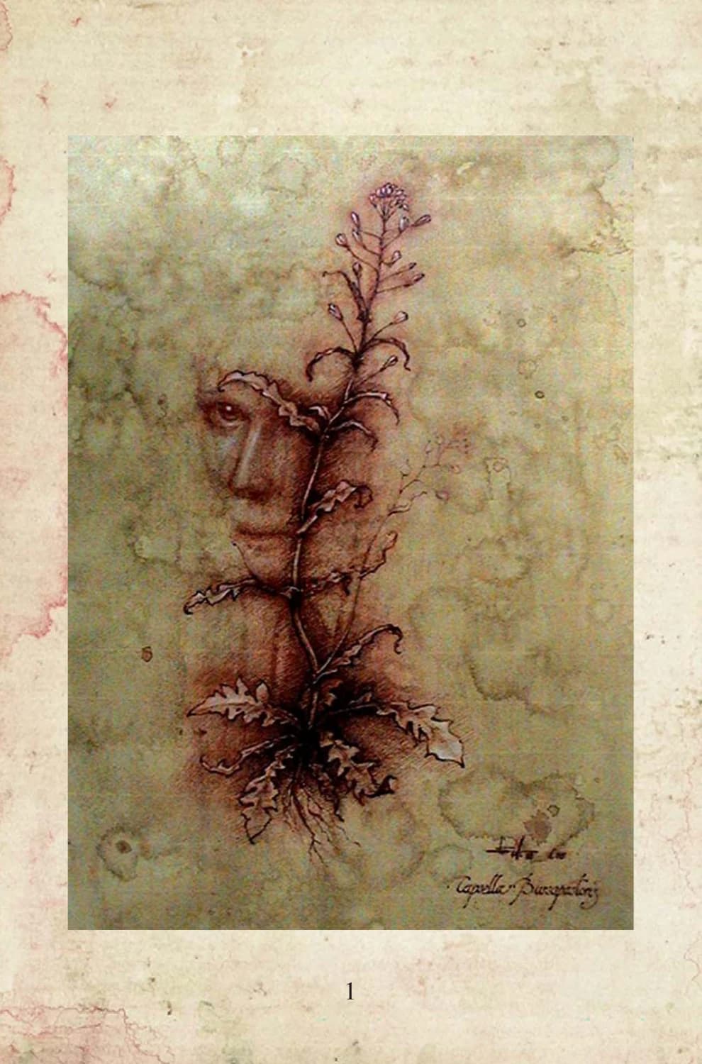 Página 1 de la muestra de A Verónica: ilustración original. Disponible también en el PDF descargable.